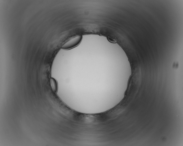 X0000112740229200909171208