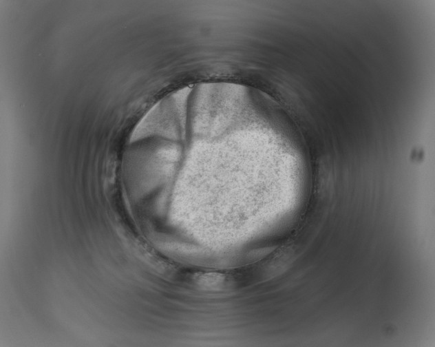 X0000112740230200909171208