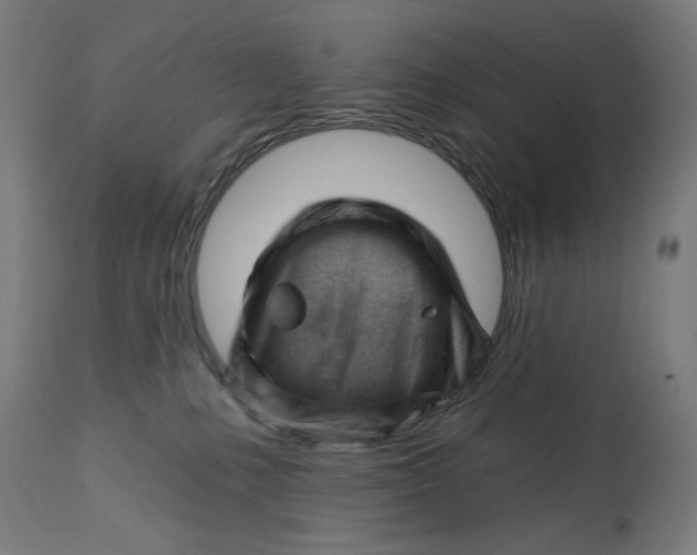 X0000112740231200909171208