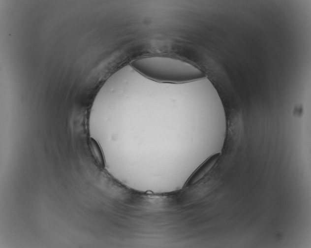 X0000112740233200909171208