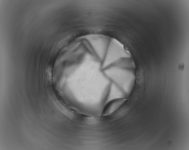 X0000112740238200909171208