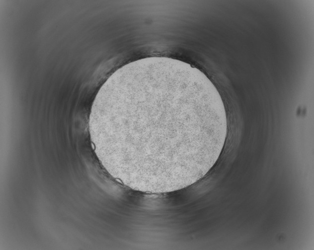 X0000112740240200909171208