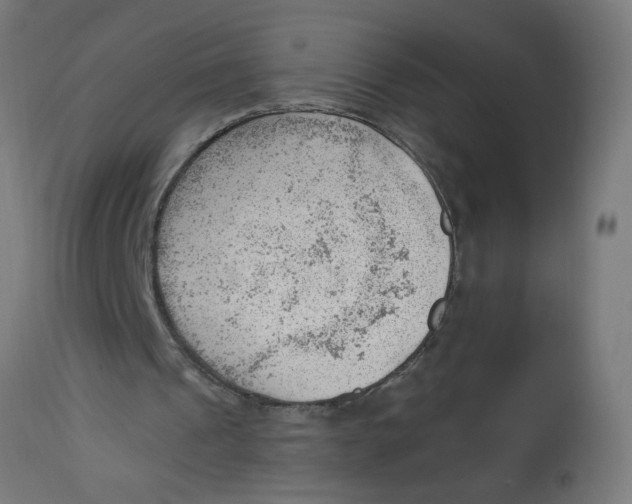 X0000112740241200909171207