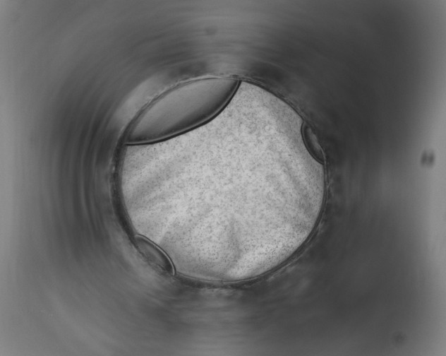 X0000112740242200909171207