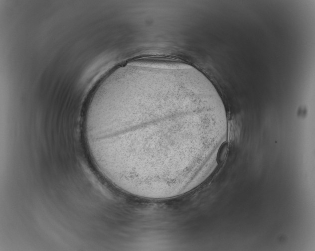 X0000112740243200909171207