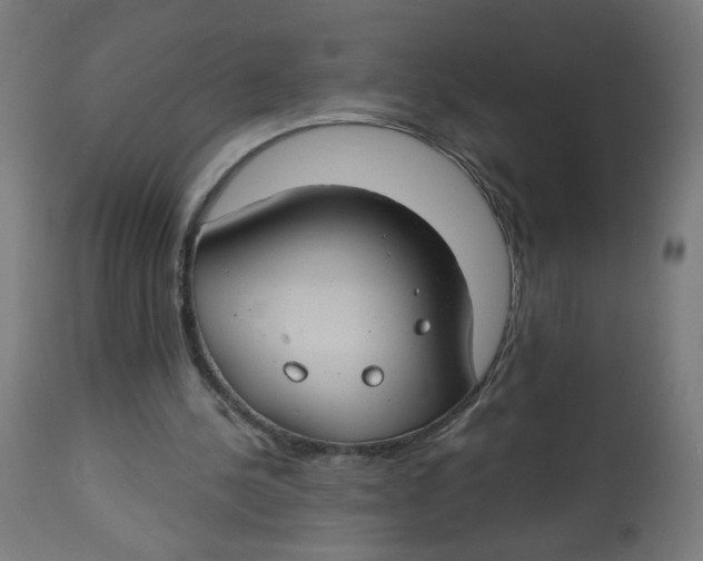 X0000112740244200909171207