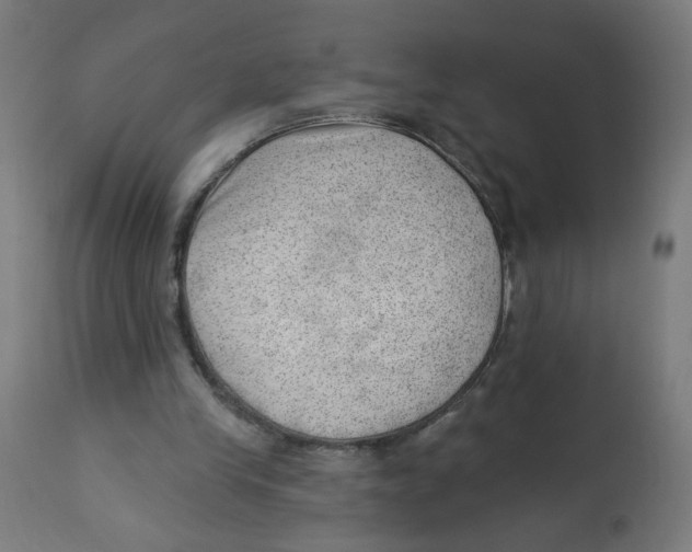 X0000112740245200909171207