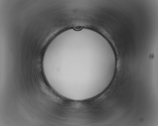 X0000112740249200909171207