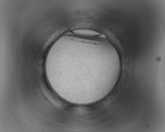 X0000112740250200909171207