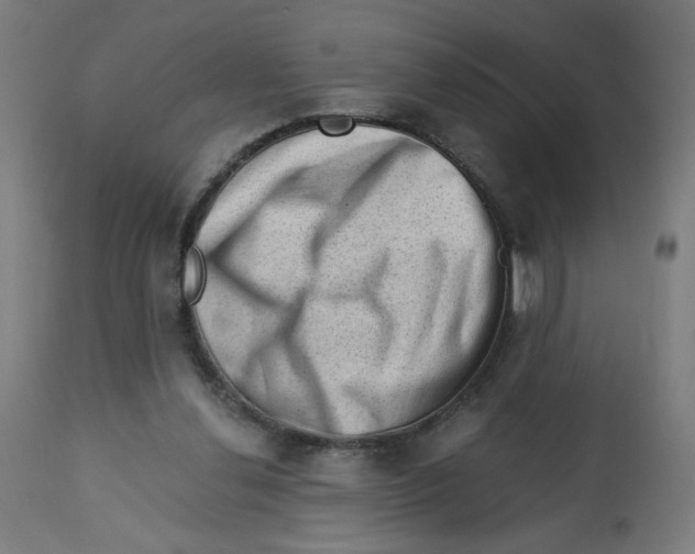 X0000112740252200909171208