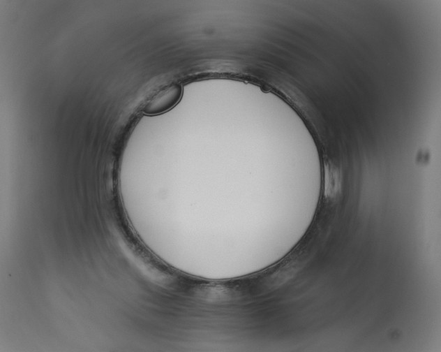 X0000112740253200909171208