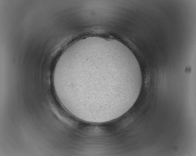 X0000112740254200909171208