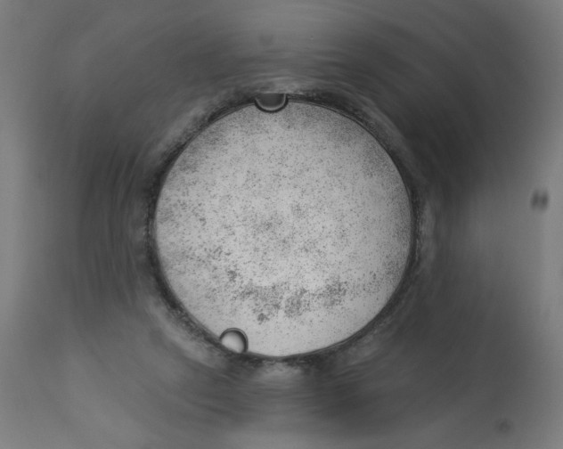 X0000112740257200909171208