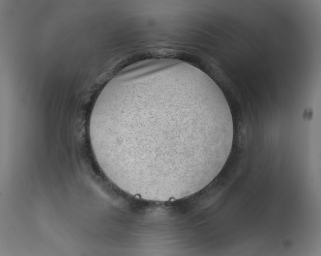 X0000112740259200909171208