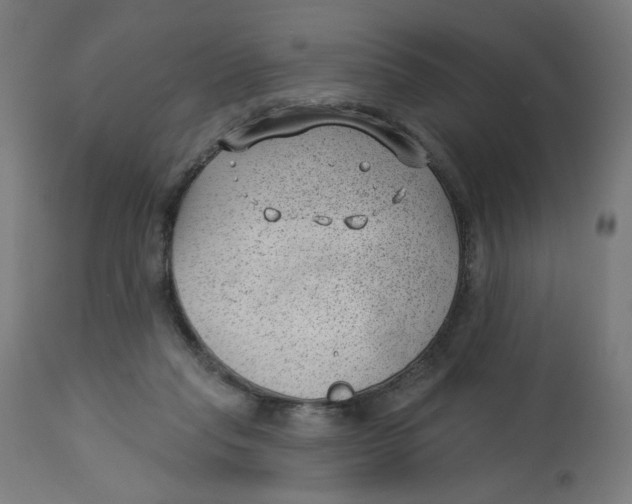 X0000112740261200909171208