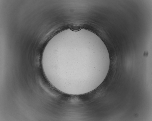 X0000112740262200909171208