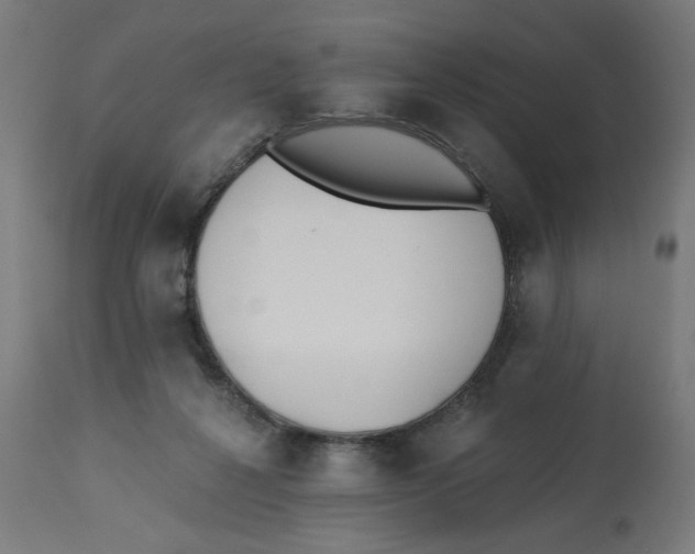 X0000112740264200909171208