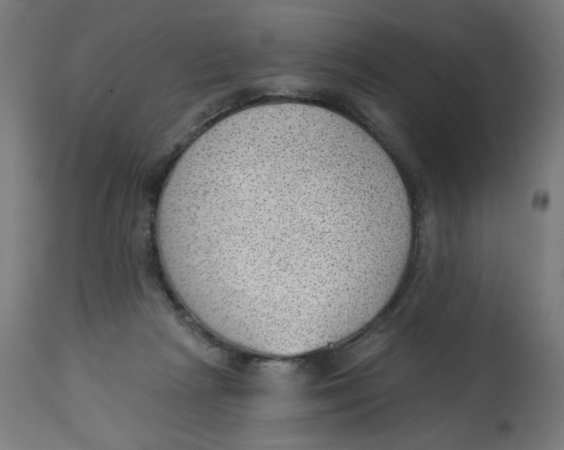 X0000112740265200909171208