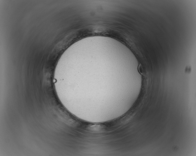 X0000112740269200909171208