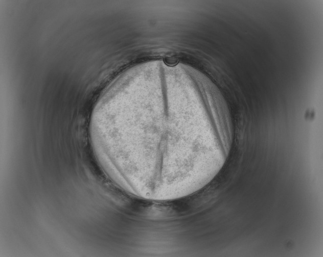 X0000112740270200909171208