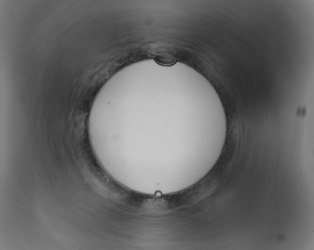 X0000112740271200909171208