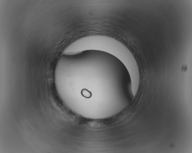 X0000112740272200909171208