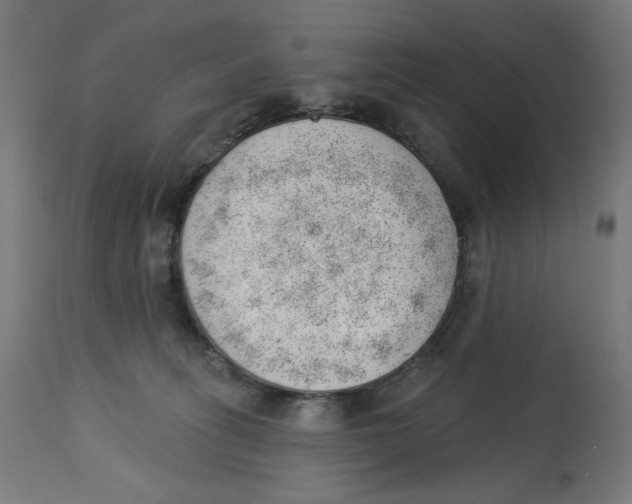 X0000112740275200909171208