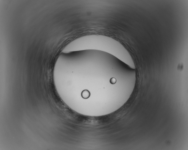 X0000112740276200909171208