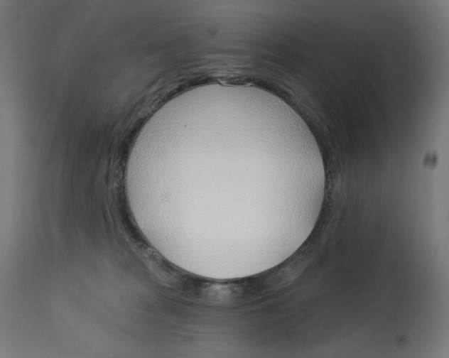 X0000112740277200909171208