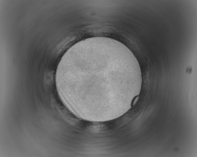 X0000112740278200909171208