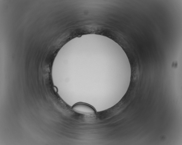 X0000112740279200909171208