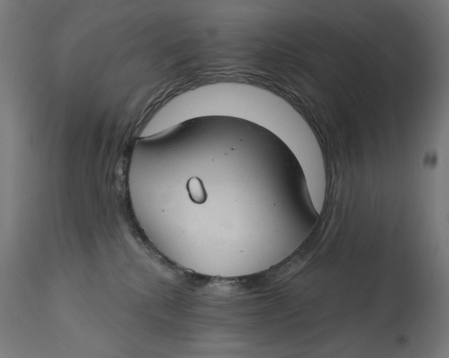 X0000112740280200909171208