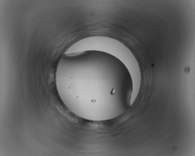 X0000112740284200909171208