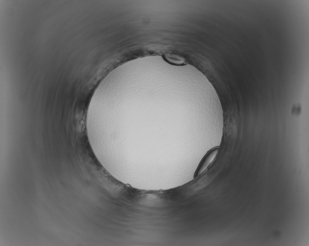 X0000112740285200909171208