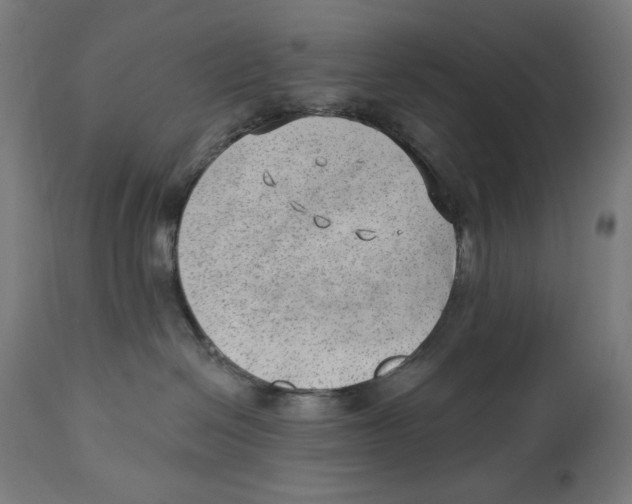 X0000112740286200909171208