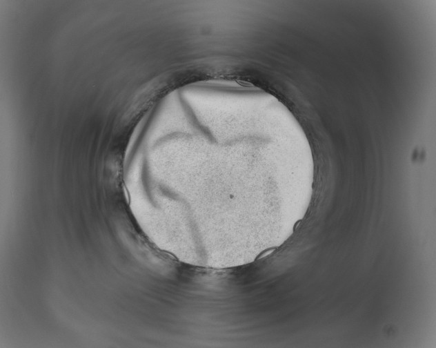 X0000112740288200909171208