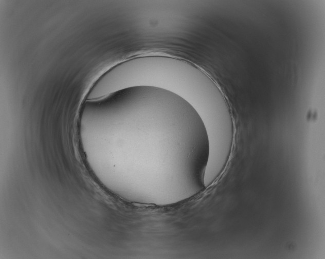 X0000112740289200909171207