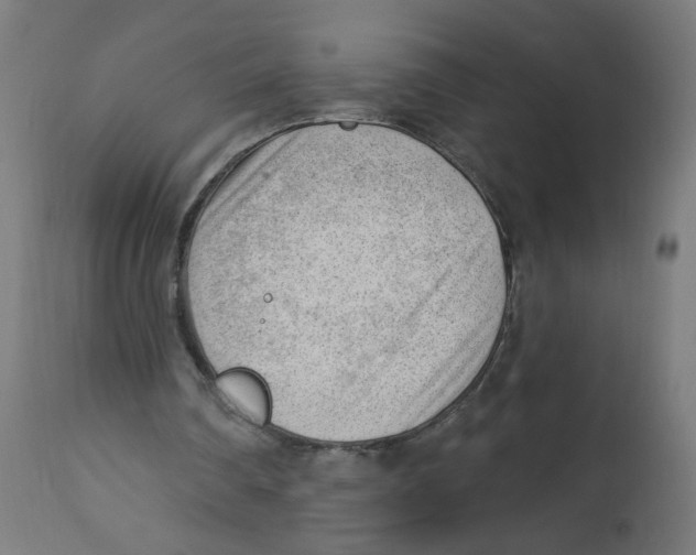 X0000112740290200909171207