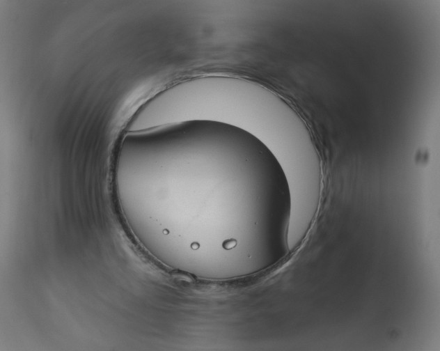 X0000112740293200909171207