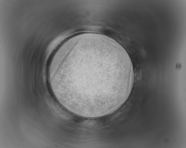 X0000112740294200909171207