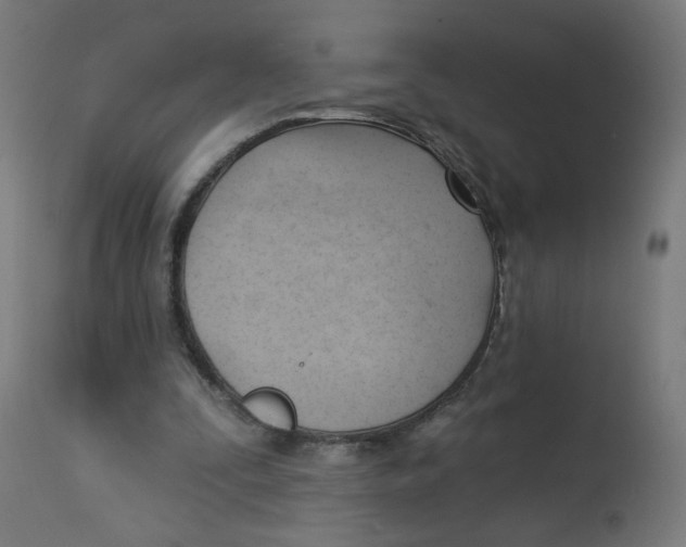 X0000112740295200909171207