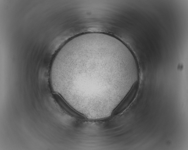 X0000112740297200909171207