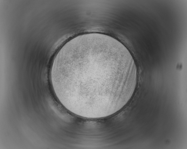 X0000112740298200909171207