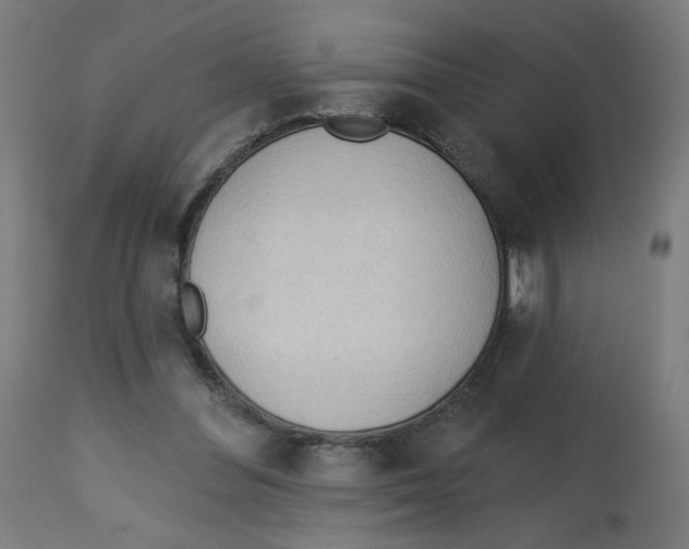 X0000112740300200909171207