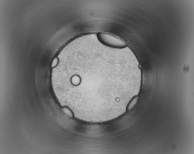 X0000112740301200909171207