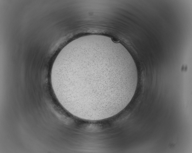 X0000112740303200909171207