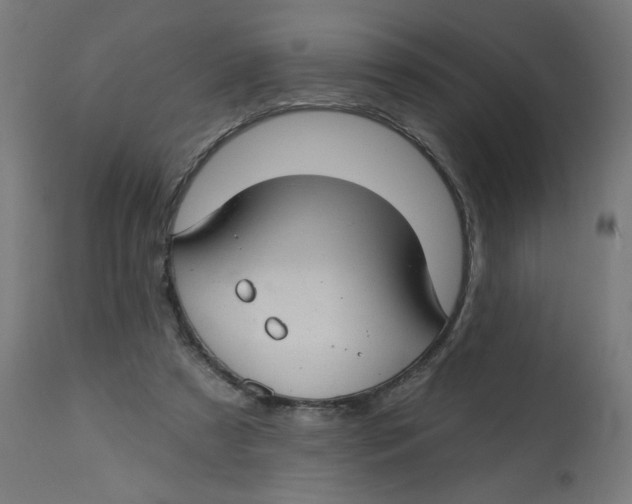 X0000112740305200909171207