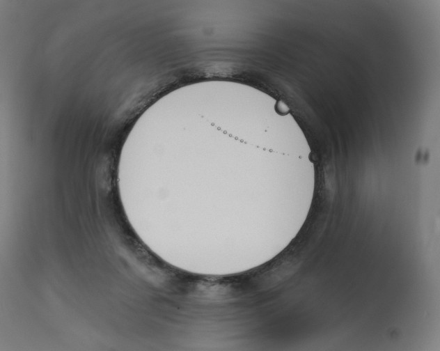 X0000112740311200909171207