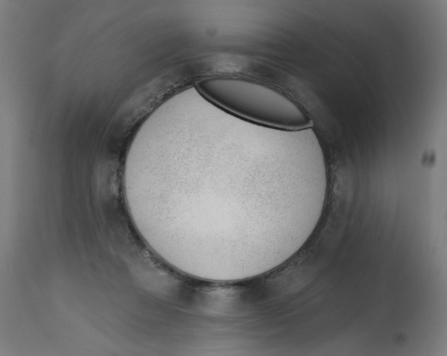 X0000112740313200909171207