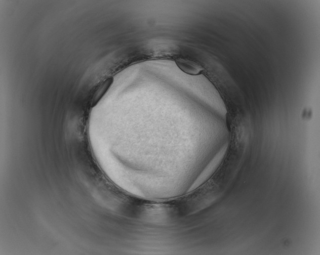 X0000112740316200909171207